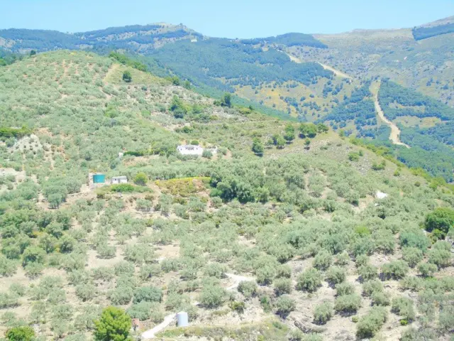 Rustic finca in Canillas de Albaida