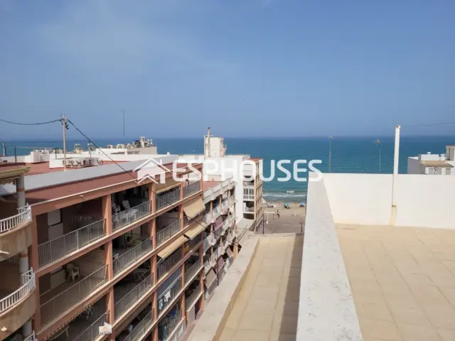Apartment in Guardamar del Segura