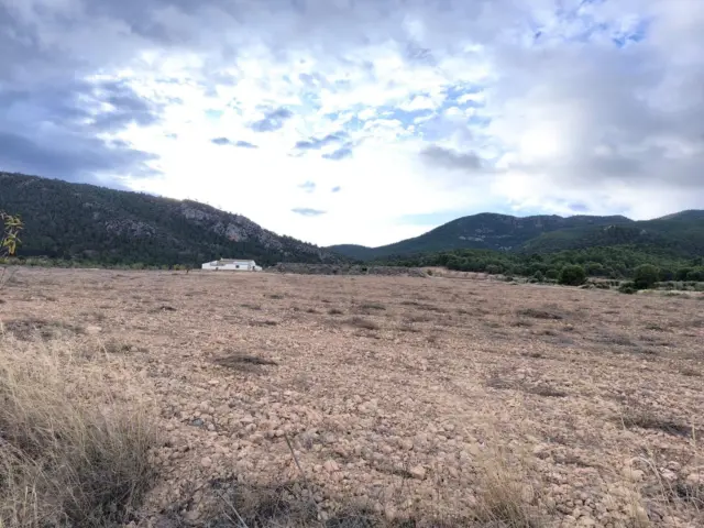 Rustic Finca in Yecla