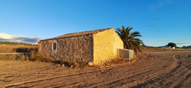 Rustic Finca in Yecla