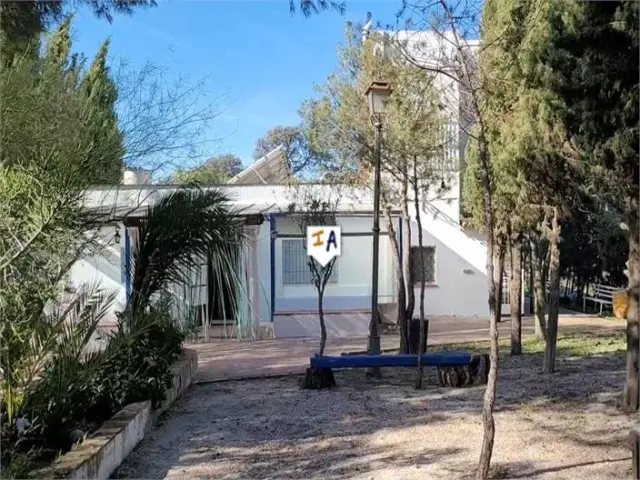 Rustic Finca in Osuna