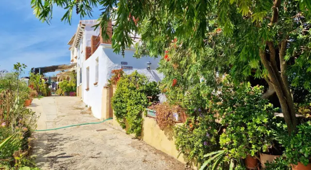 Rustic Finca in Los Romanes