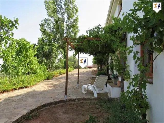 Rustic Finca in Huelma