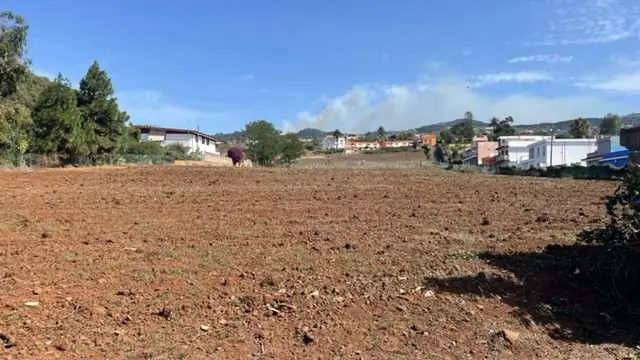 Rustic Finca in Tacoronte photo 2