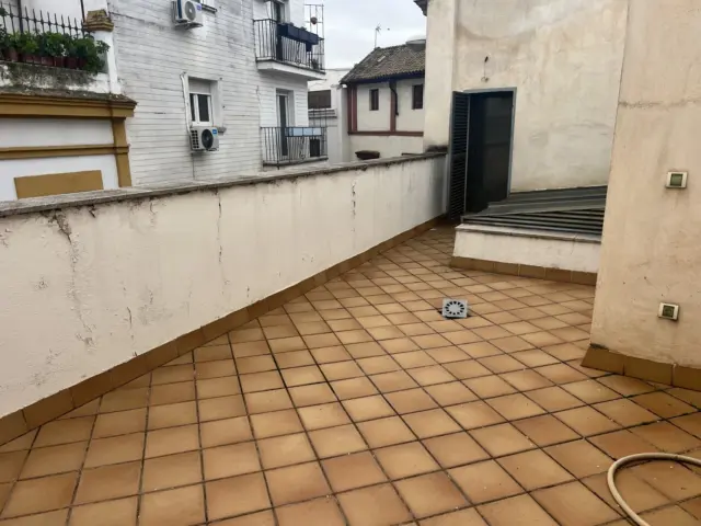 Duplex penthouse on Muro de los Navarros Street photo 48