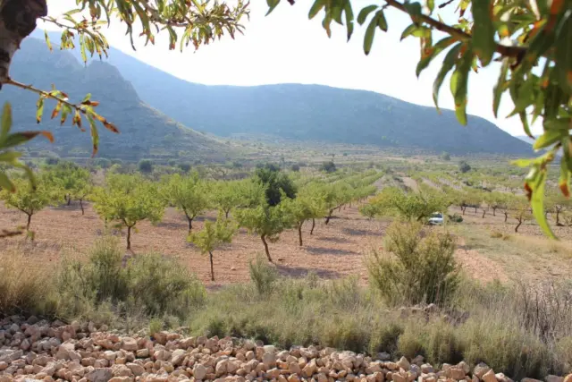 Rustic Farm in Centro