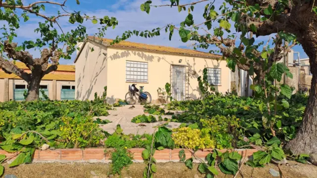 Rustic Finca in Vila-Seca photo 10