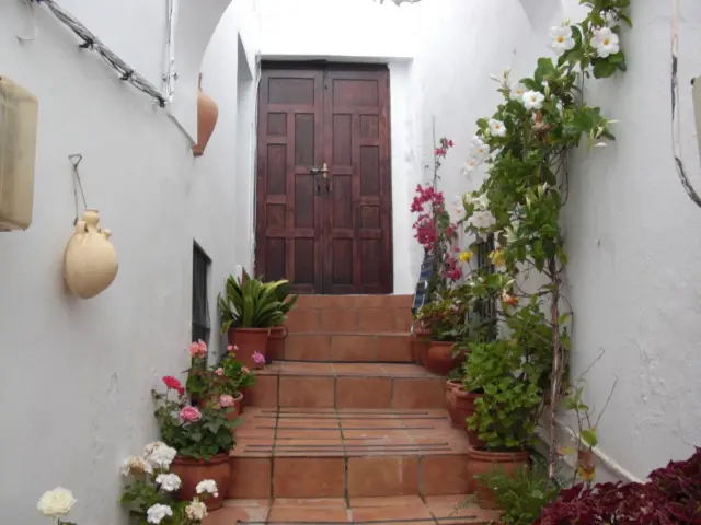 Apartment in the Old Town