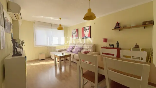 Flat in La Pajarita