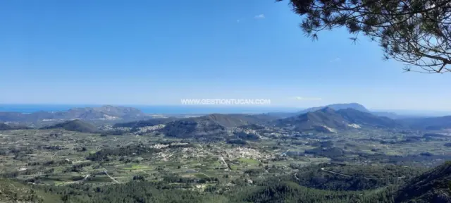 Rustic Finca in Benigembla