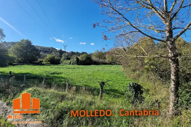 Rustic farm in Molledo