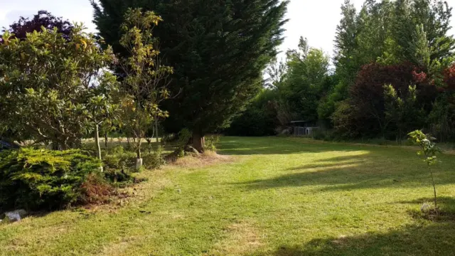 Rustic farm in Husillos