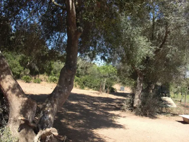Rustic farm in La Muela
