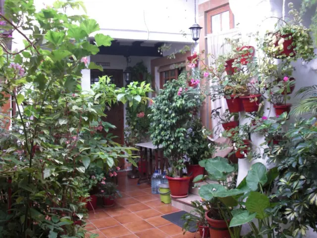 Apartamento en alquiler en Casco Antiguo, Vejer de la Frontera