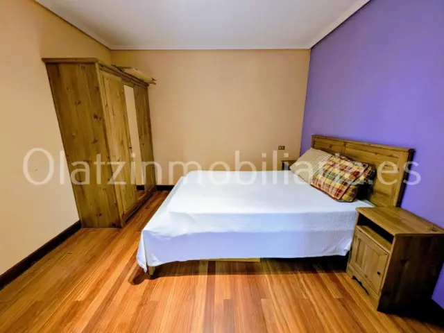 Apartment in Amurrio photo 12