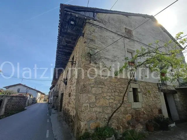 House in Valle de Mena photo 21
