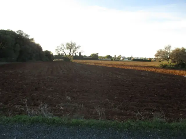 Rustic Finca on Carretera del Muelle
