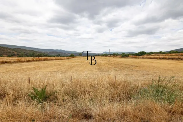 Rustic farm in Cañaveral de Leon
