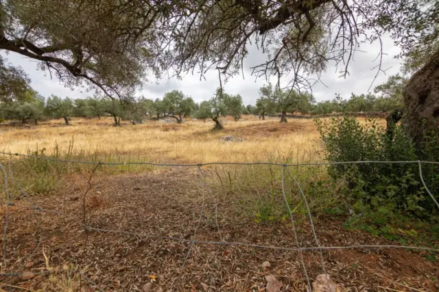 Rustic Finca in Cañaveral de Leon