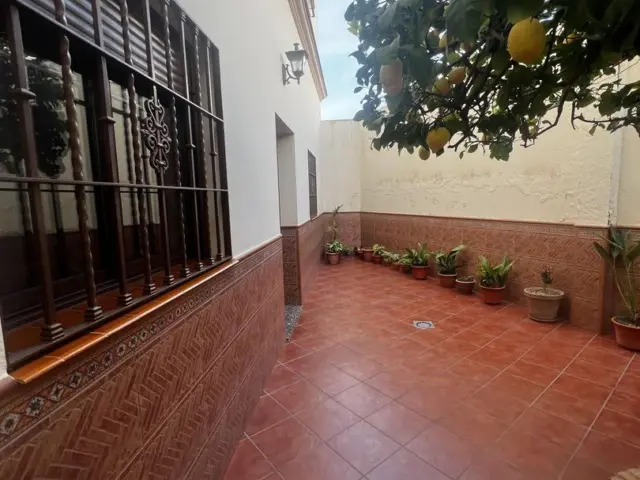 House in Alcalá de Guadaira photo 3