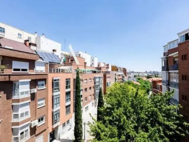 Apartment in the Salamanca District photo 9