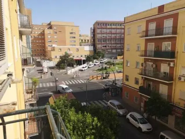 Apartment in La Palmera-Reina Mercedes photo 14