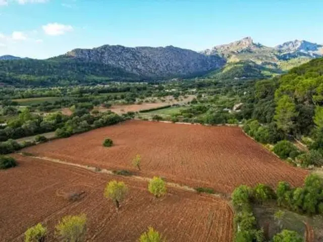 Rustic House in Pollença