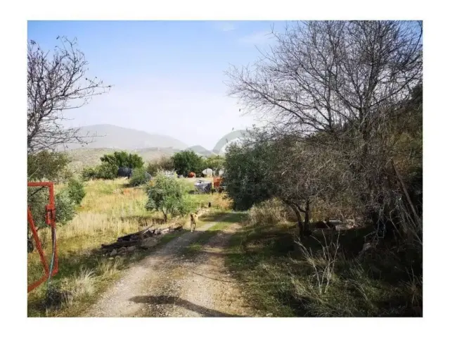 Chalet in Algodonales