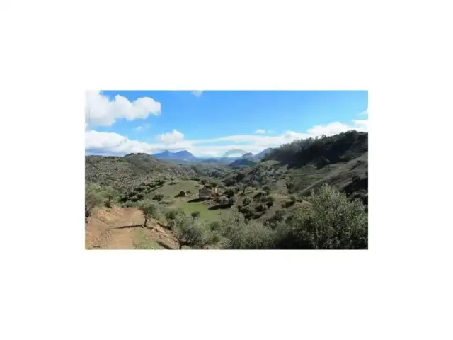 Chalet in Algodonales