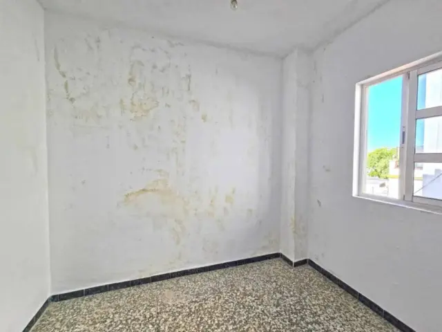 Apartment in Coria del Río photo 6