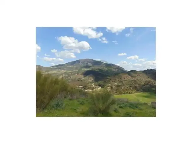 Chalet in Algodonales