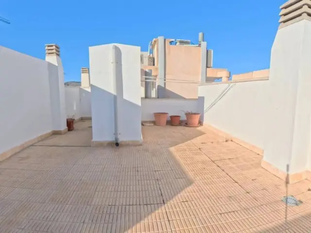 Apartment in El Campello photo 8