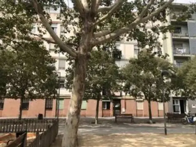 Apartment in Montcada Centre-La Ribera
