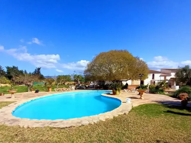Chalet in Palma de Mallorca photo 18