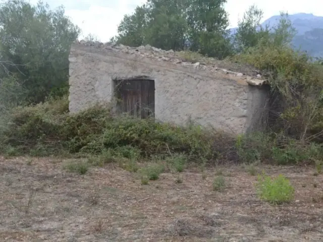 Rustic house in Campanet