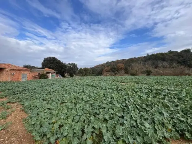 Chalet in La Bisbal d'Empordà photo 2