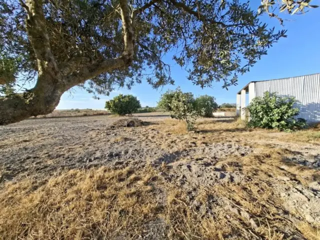 Casa rústica en Chiclana de la Frontera
