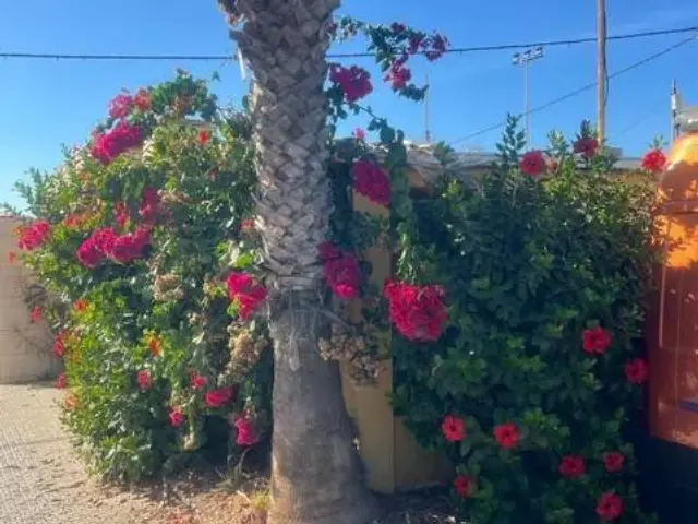 Casa rústica en calle de Playa Hípica