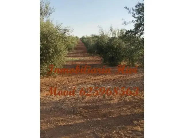 Casa - Más