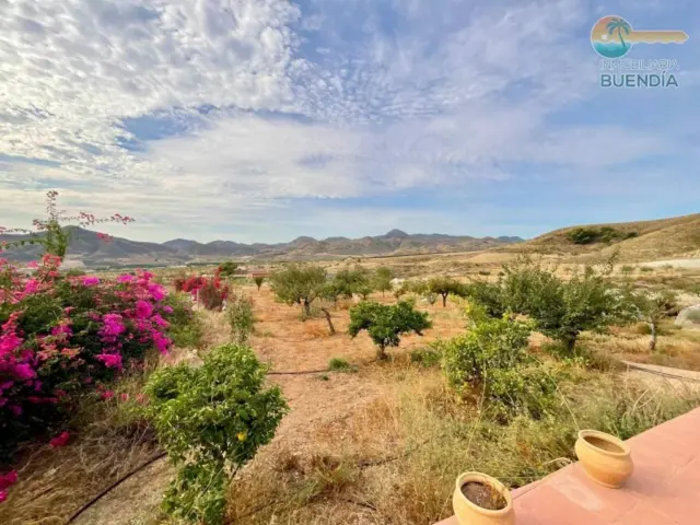 Rustic house in La Hoya-Almendricos-Purias photo 32