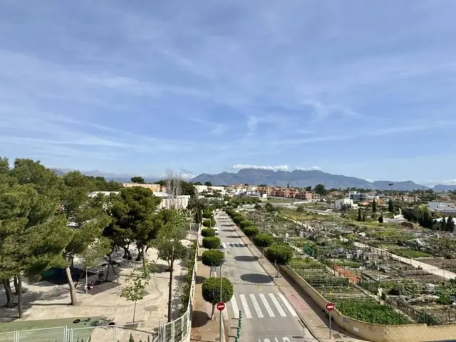 Apartment in L'Alfàs del Pi photo 36