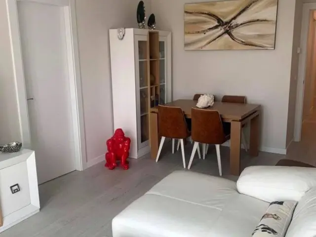Apartment in the City Centre
