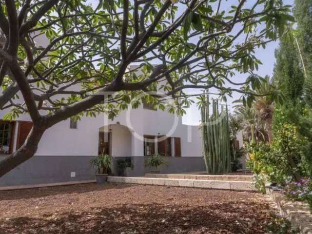 Chalet in Candelaria photo 36