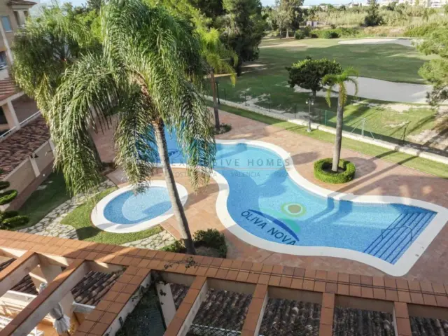 Apartment in Oliva Nova photo 6