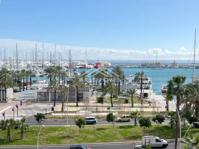 Apartment on Avinguda de Gabriel Roca photo 4