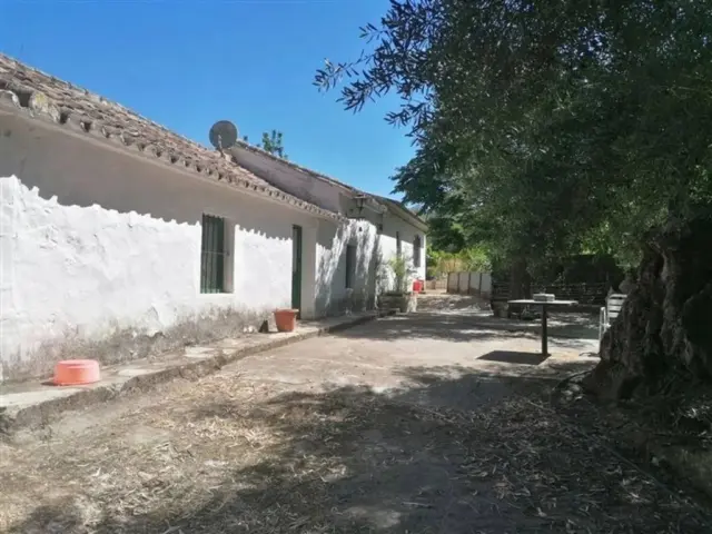 Rustic house on Calle Jubrique, No. 355 photo 24