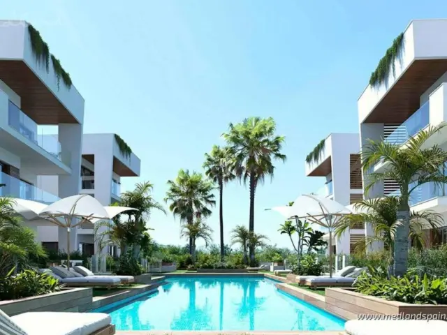 Apartment in Los Alcázares photo 10