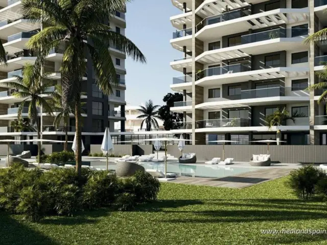 Apartment in Los Calpes photo 10