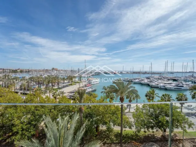 Penthouse on Passeig Marítim photo 2