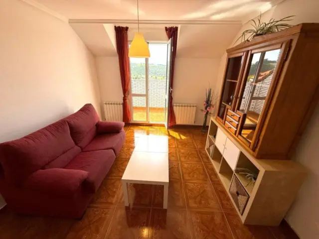 Apartment in San Miguel de Meruelo photo 3